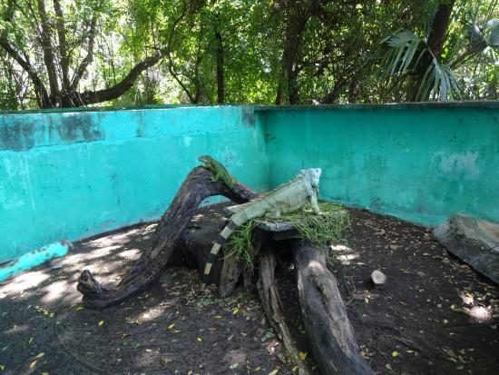 Tortugario Monte Rico